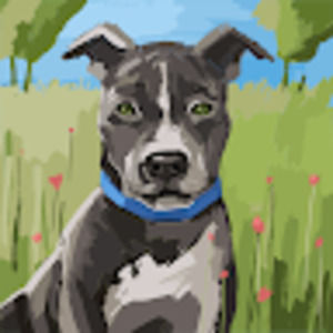 Meet your Posher, Roxy